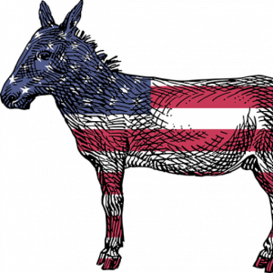 Democratic Donkey